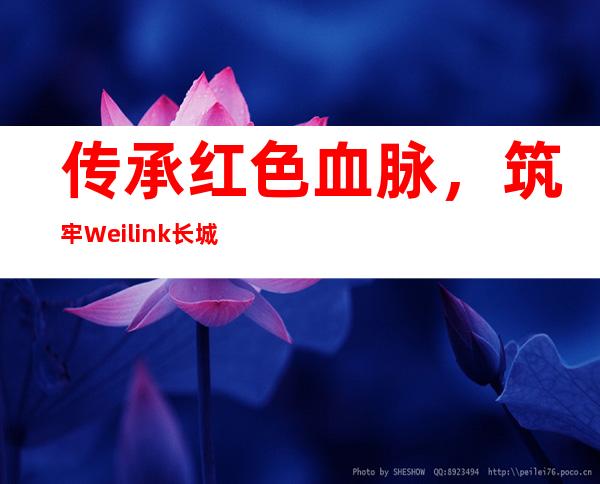 传承红色血脉，筑牢Weilink长城